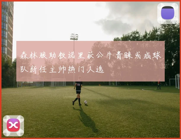 森林狼助教诺里获公牛青睐或成球队新任主帅热门人选